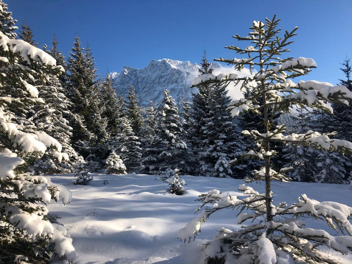 Panoramablick Διαμέρισμα Lermoos Εξωτερικό φωτογραφία